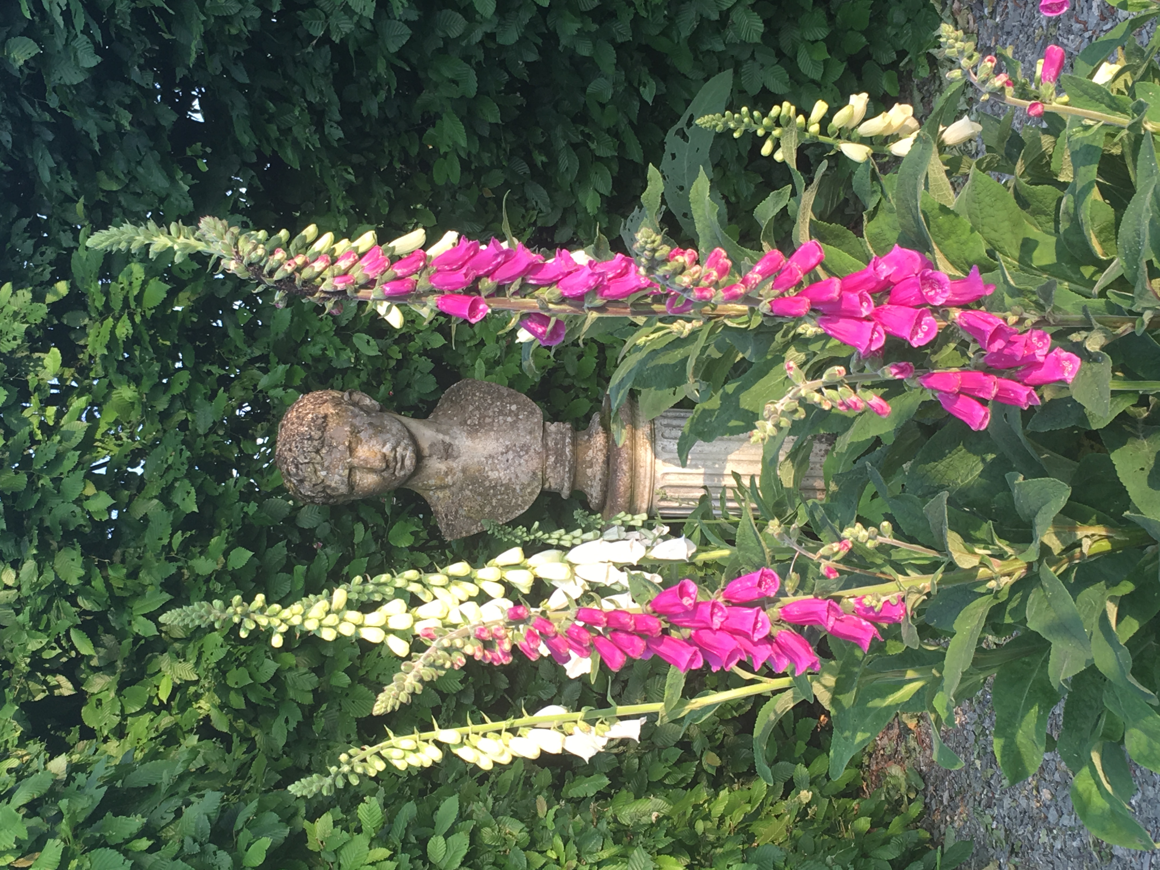 Le Domaine, Route de Bannes, Epineux-le-Seguin 53340  -7